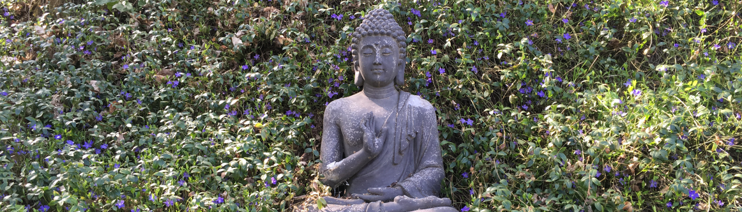 Casa Smi Leistungen - Buddha im Garten