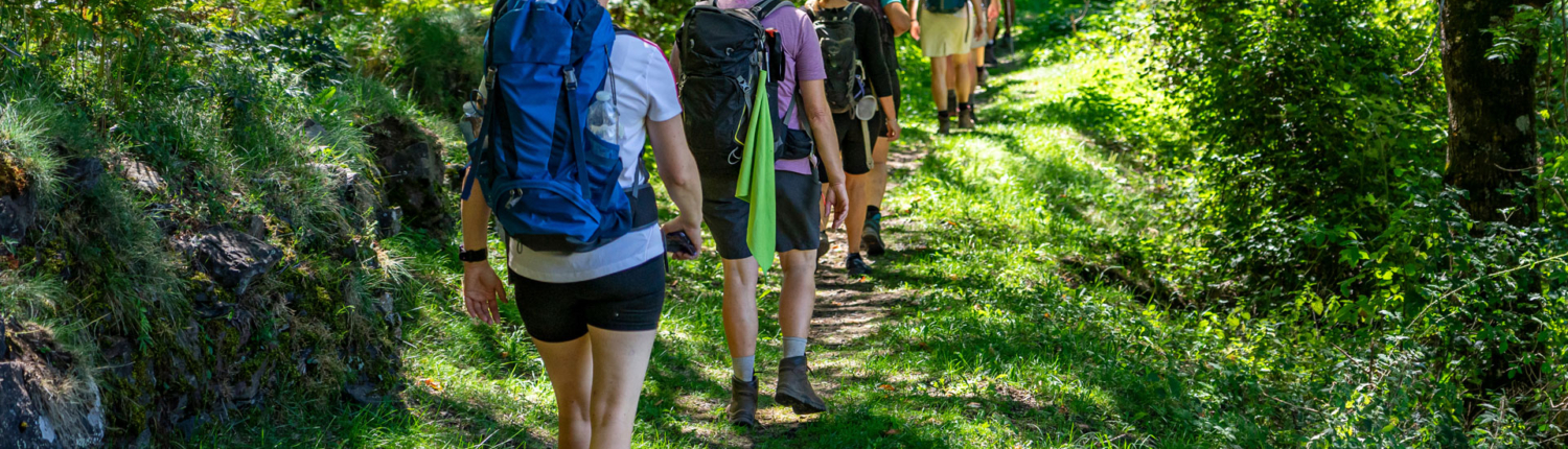 AdobeStock_538338502_wanderung_1920px
